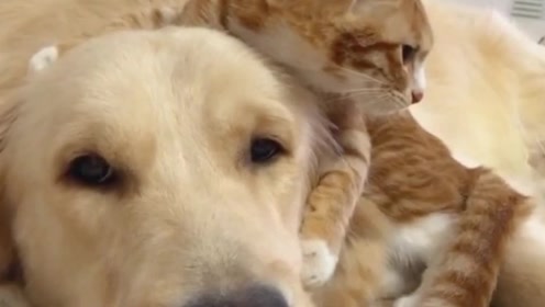 温柔的家伙-腾讯视频