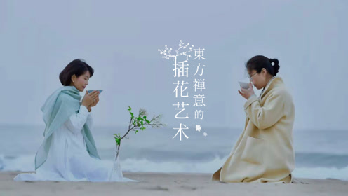 茶道 花道 腾讯视频