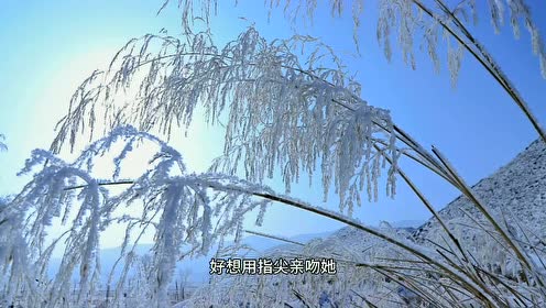 下雪景色 腾讯视频