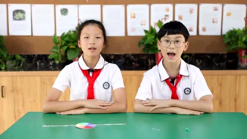 苏教版五年级科学上册第二单元 光与色彩