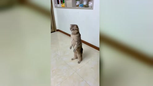 腾讯视频