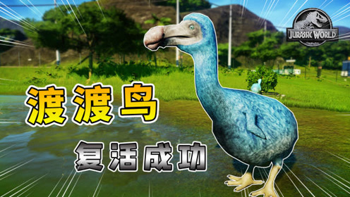 侏罗纪世界04:成功复活渡渡鸟,著名的鸟类明星,200年前刚灭绝