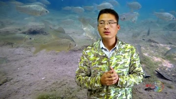 这两天降温，很多钓友说鱼不好钓了，为什么呢？