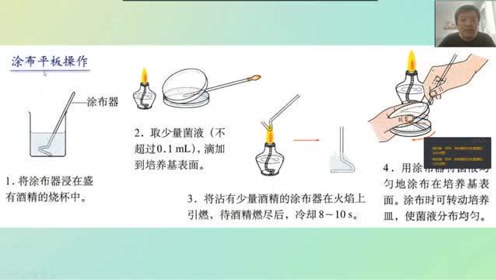 微生物培养技术 腾讯视频