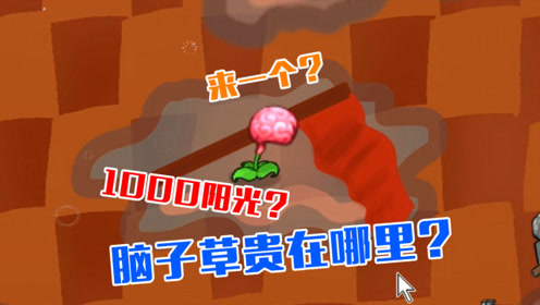 植物大战僵尸:脑子草到底贵在哪里?难道能多一个脑子吗?