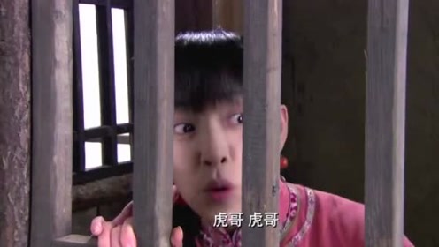 亲骨血 腾讯视频