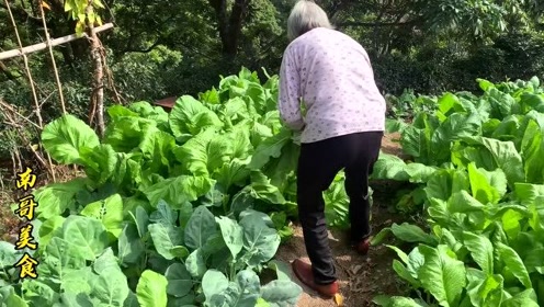 池澤春菜 腾讯视频