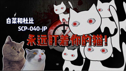Jp 腾讯视频