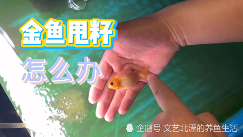 腾讯视频