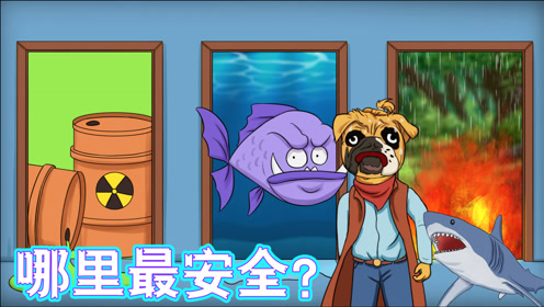 脑力测试:狗头侦探的生死选择,哪条路是最安全的?