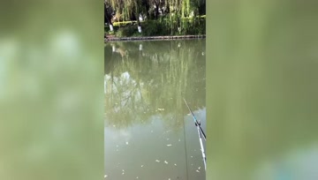 传统野钓：遇到这种情况，很多钓友拔腿就跑，钓友一番操作却鱼获满满