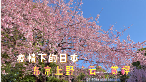 上野大典 腾讯视频