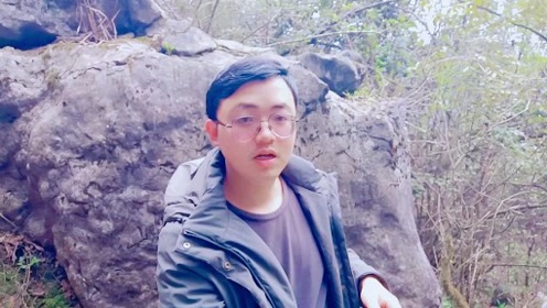 这么贫瘠的石头上最喜欢长马苋菜 是大山里春夏难得的美味 腾讯om视频 腾讯网