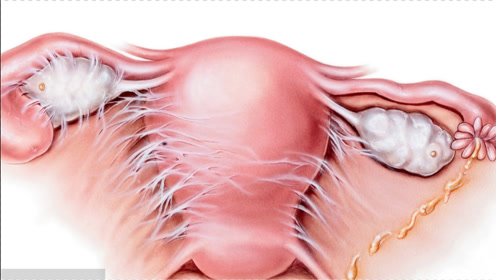 女生下面长痘痘了怎么办?医生忠言:牢记这3点