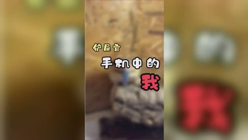 春虫虫 腾讯视频