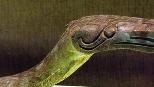 三星堆发现了一条"蛇",专家大惊:可能揭开了华夏文明的起源!