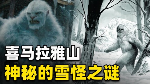 喜马拉雅山脉的雪怪,真的存在?它们或许会是远古人类的后代?
