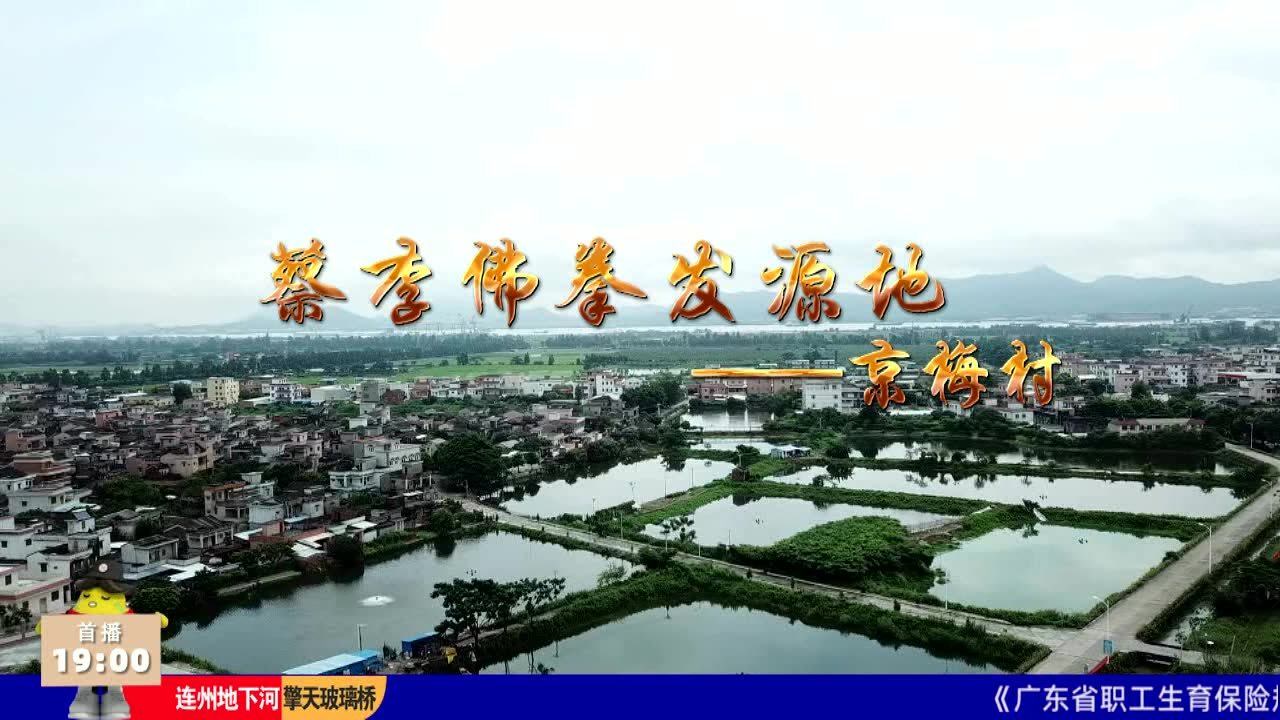 【康康我的家乡】蔡李佛拳发源地京梅发展"武魅"特色乡村游