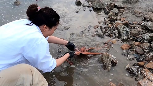旁边的小孩越看越兴奋时 间:2021-08-25上传者:渔家皮皮生 活:赶海鱼