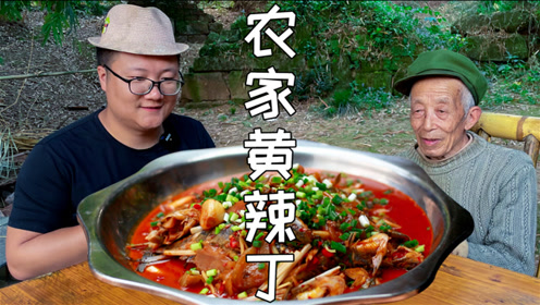 竟然被米琪咬的露着鱼刺,野采黄辣丁死亡,太难了上传者:野王大坤时 间