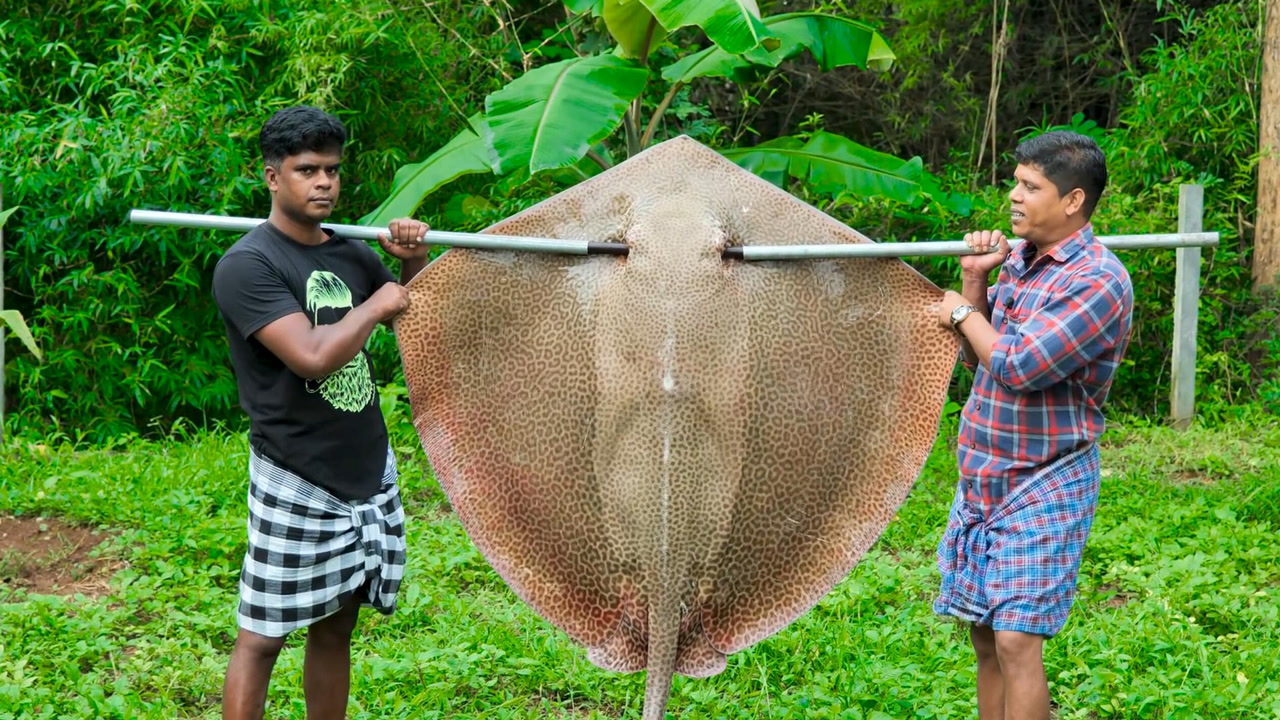 印度兄弟恒河捉到150多斤的黄貂鱼,一鱼两吃法,干净的印度菜