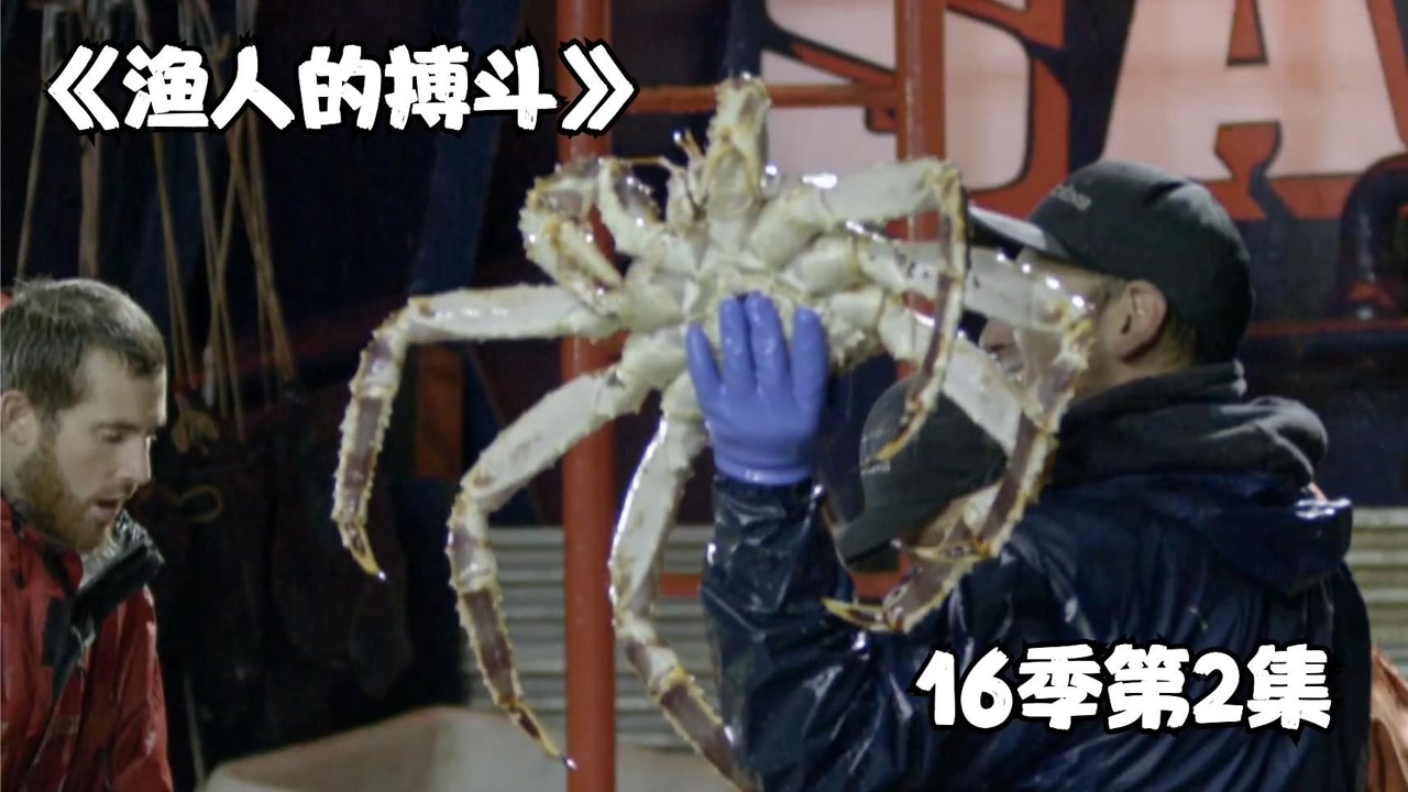 渔人的搏斗:第16季第2集,渔民出海捕捞价值千万帝王蟹