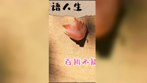 什么折不扣成语_不舍得字有什么成语