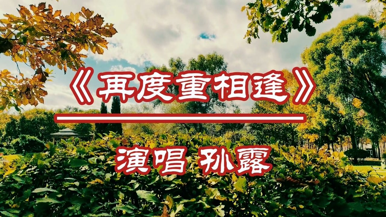 孙露再度重相逢