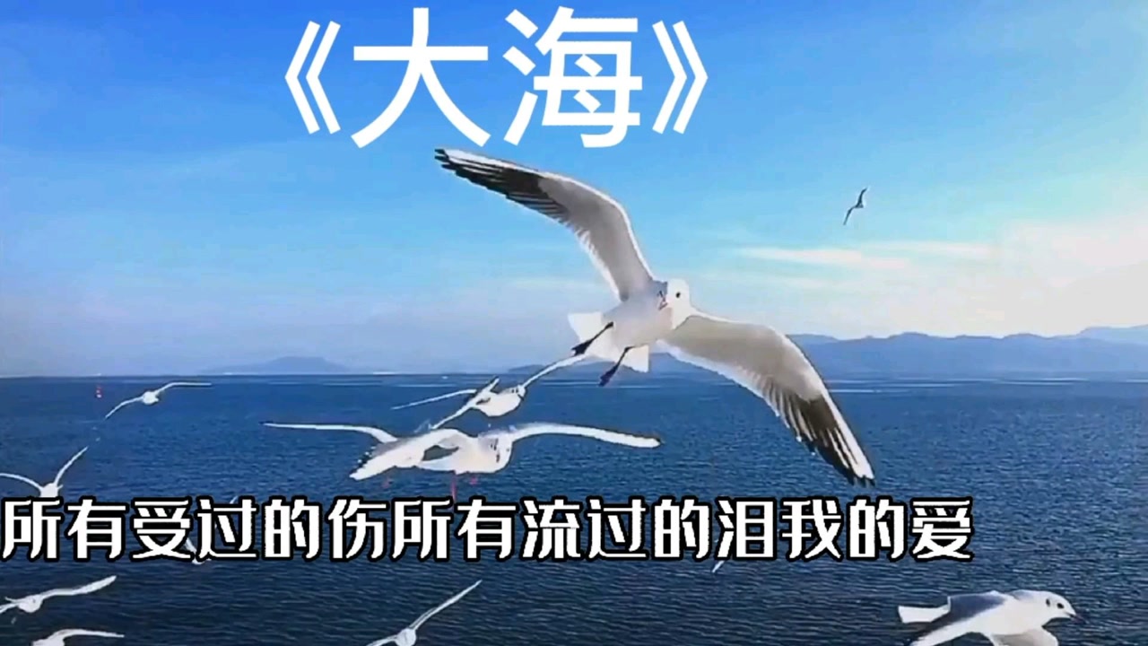关于大海的歌曲(关于大海的歌曲抖音最近火的)