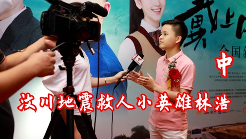 林浩救人图片,林浩救人(第2页)_大山谷图库