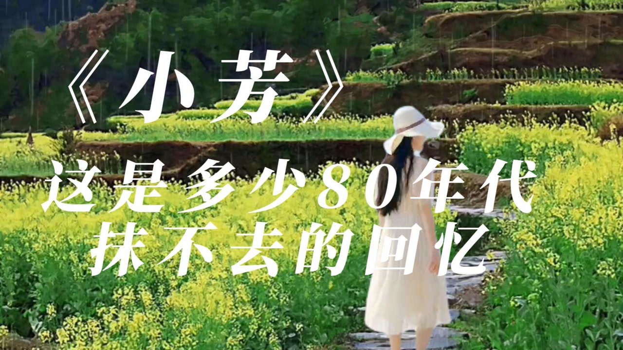 经典歌曲《小芳》,多少80后抹不去的回忆