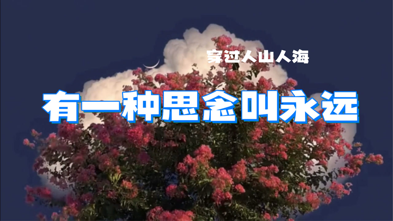 超火的伤感情歌《有一种思念叫永远》深情好听,听哭了多少有情人