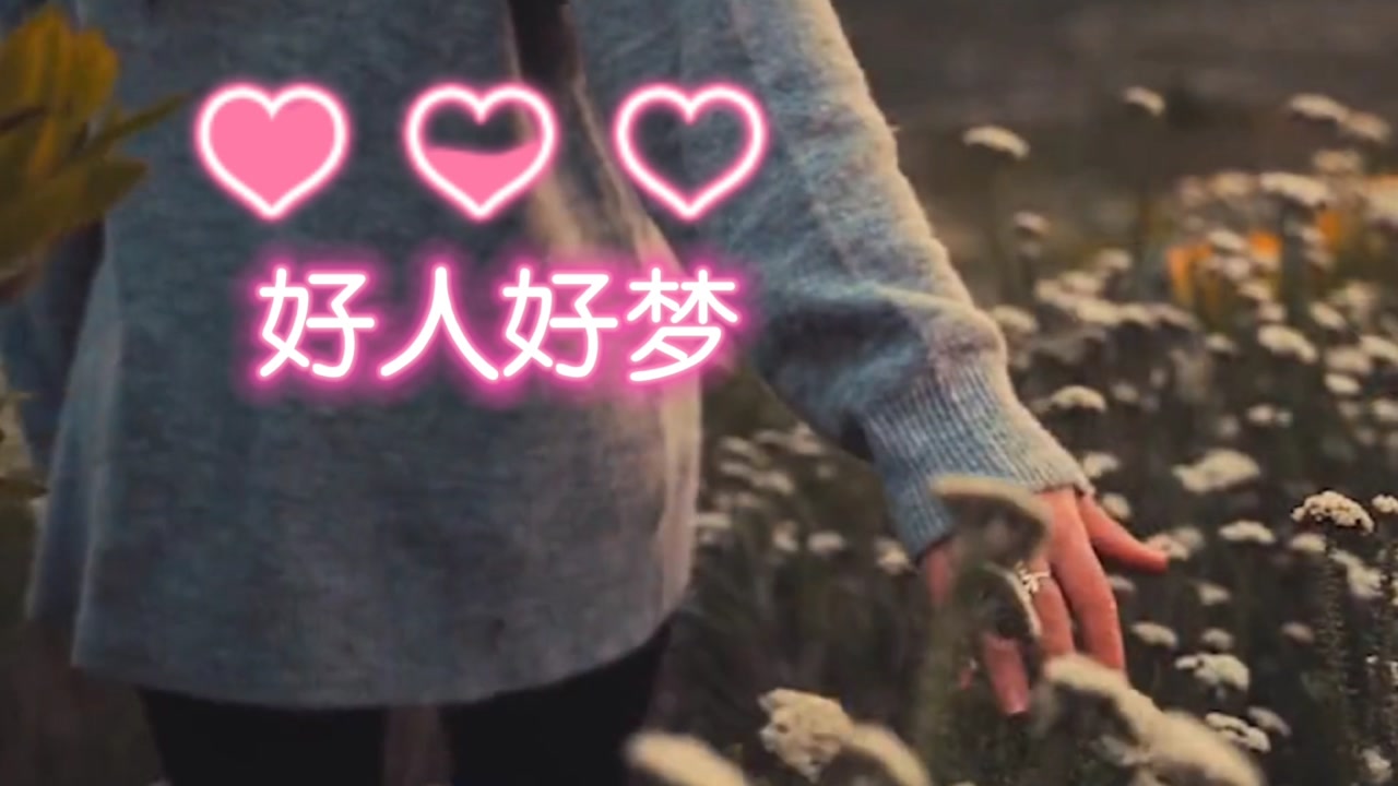 一首超温馨的老歌好人好梦孙悦邰正宵