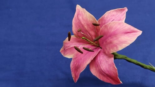 用超轻粘土做一朵百合花详解简单好看又逼真你也动手试试吧