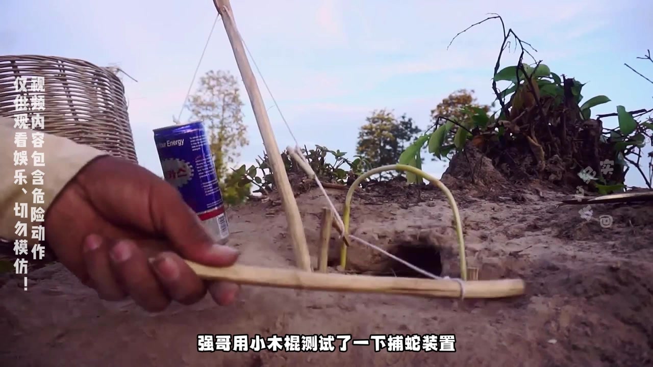 简单的易拉罐就能制作创意捕蛇陷阱,强哥野外生存能力一定很棒!