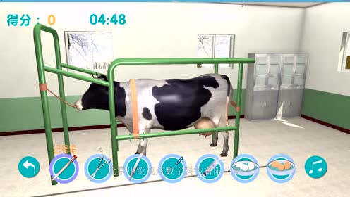 Vr动物医疗课件 腾讯视频