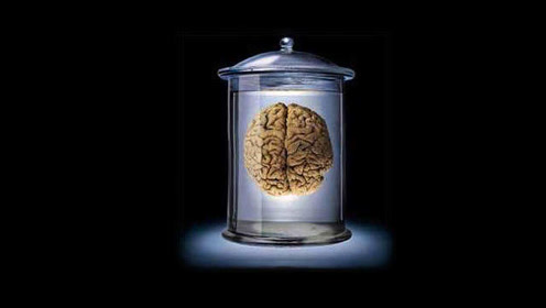 10「珂学原理」「存在,为了缸中之脑」