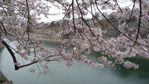 小石川后乐园 腾讯视频