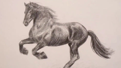 简笔素描教学:3分钟教你画一匹马!