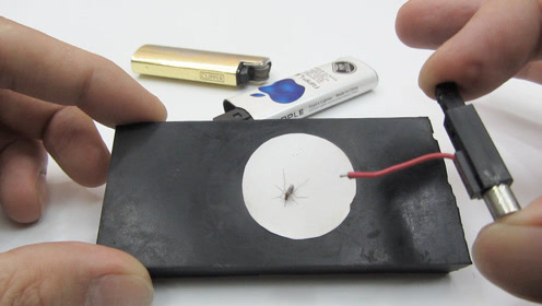 活抓到一只吃饱的蚊子,用打火机的压电,电击会怎样?