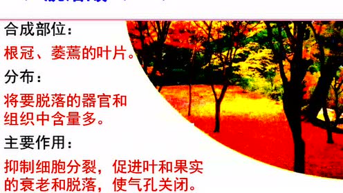 高中生物必修三《稳态与环境》3.3 其他植物激素