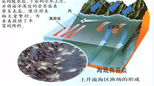 人教版高中地理选修二第三章 海洋水体