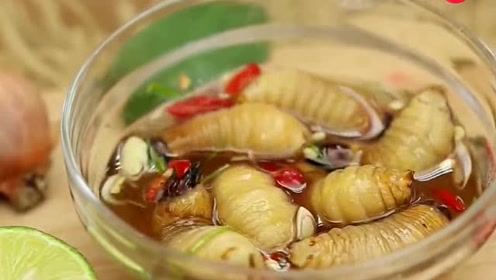 越南爆浆椰子虫料理,虫子直接蘸酱生吃,当地人超爱吃!看着好恶心