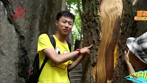 柏木立柱 腾讯视频