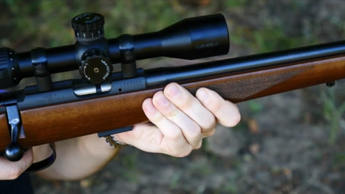 小巧轻便的cz 452小口径步枪,低估它的威力你就真的错了!