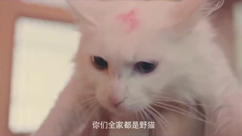 腾讯视频