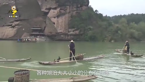 乌鬼工作室 腾讯视频