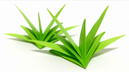 简单的青草折纸,让折纸花更显美丽