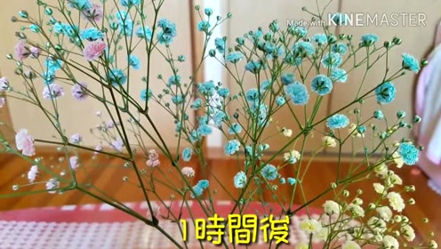 腾讯视频