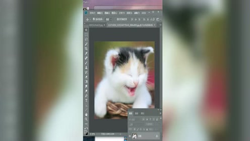 腾讯视频